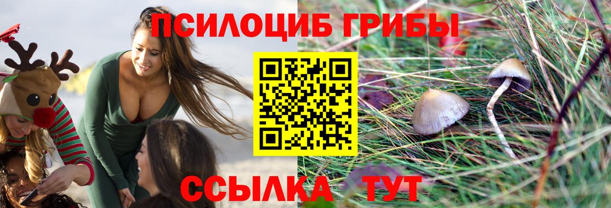 Псилоцибиновые грибы мухоморы  Псилоцибиновые грибы ЛСД  Фурманов  Вход с VPN 